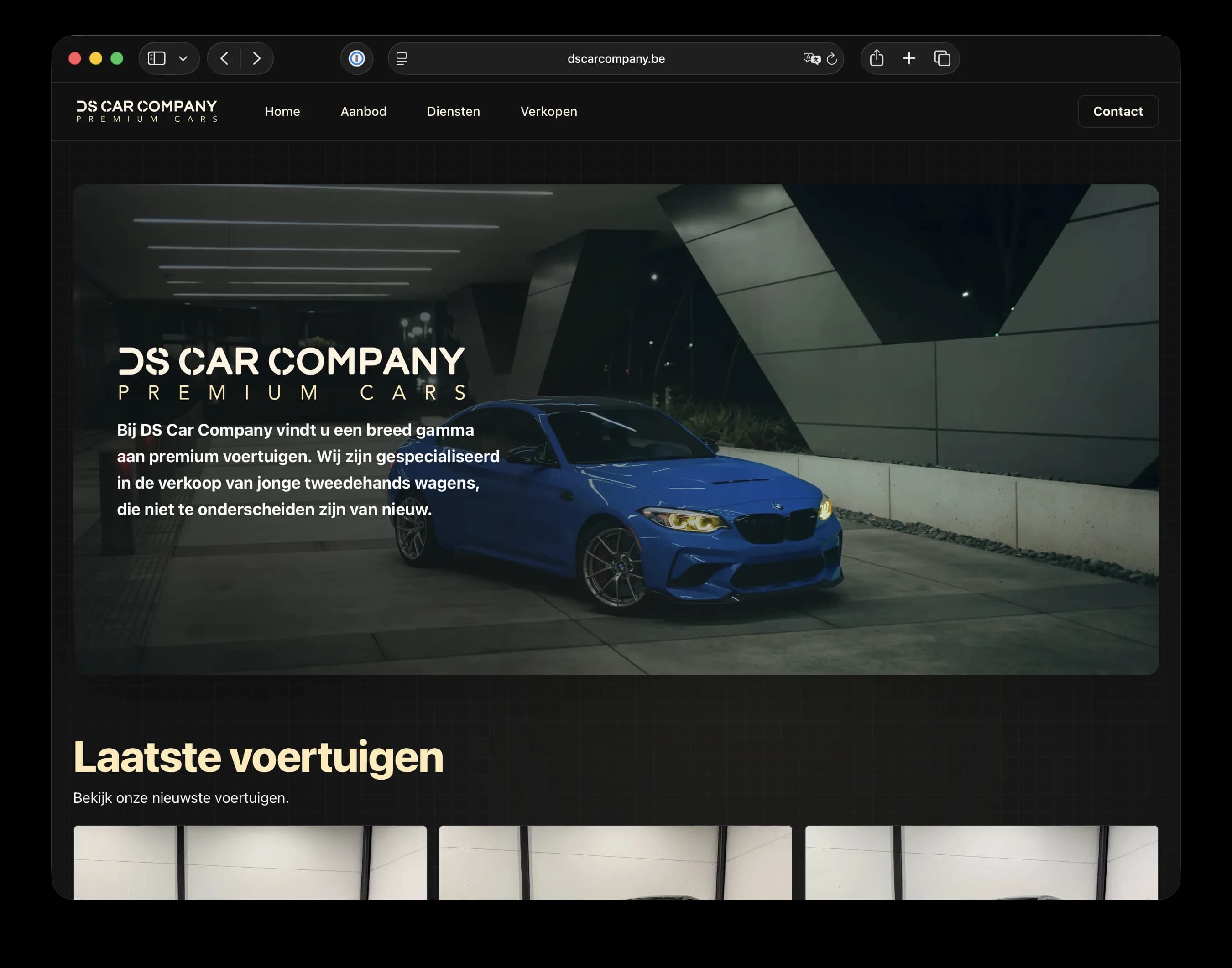 DS Car Company inventory list on desktop